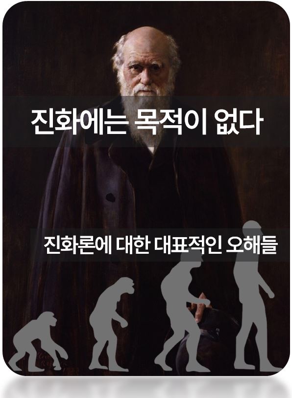 진화론에대한대표적인오해들