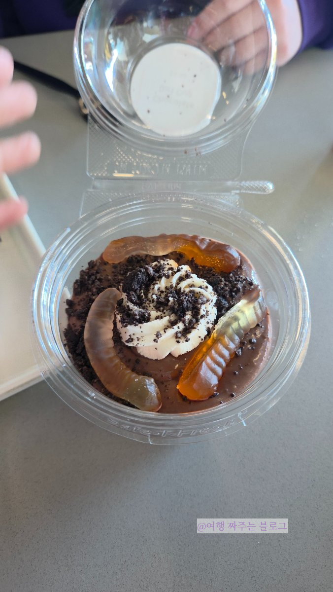 #달라스여행 #댈러스여행 #페롯뮤지엄 #페롯박물관