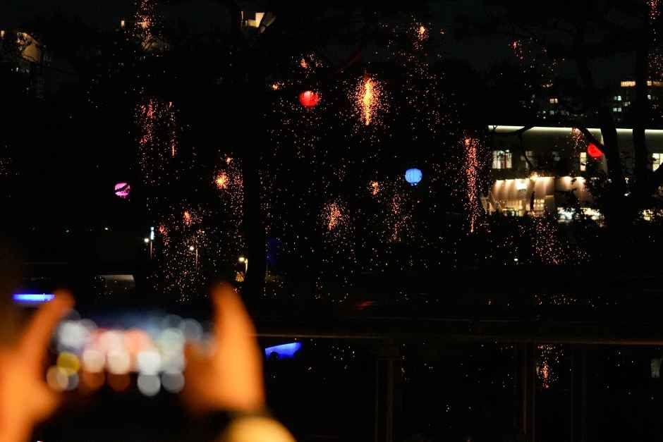 세종낙화축제 꼭 가세요, 5월 16일 무료로 즐기는 낭만 불멍 명소