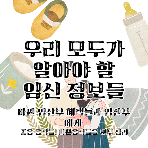 임산부(남편), 임신에 관한 정보들 꼭 확인