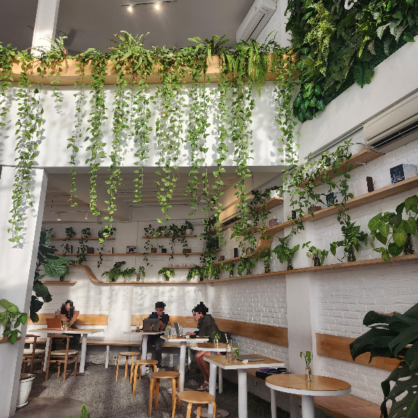 흰 벽과 플렌테리어 인테리어가 된 카페 내부
