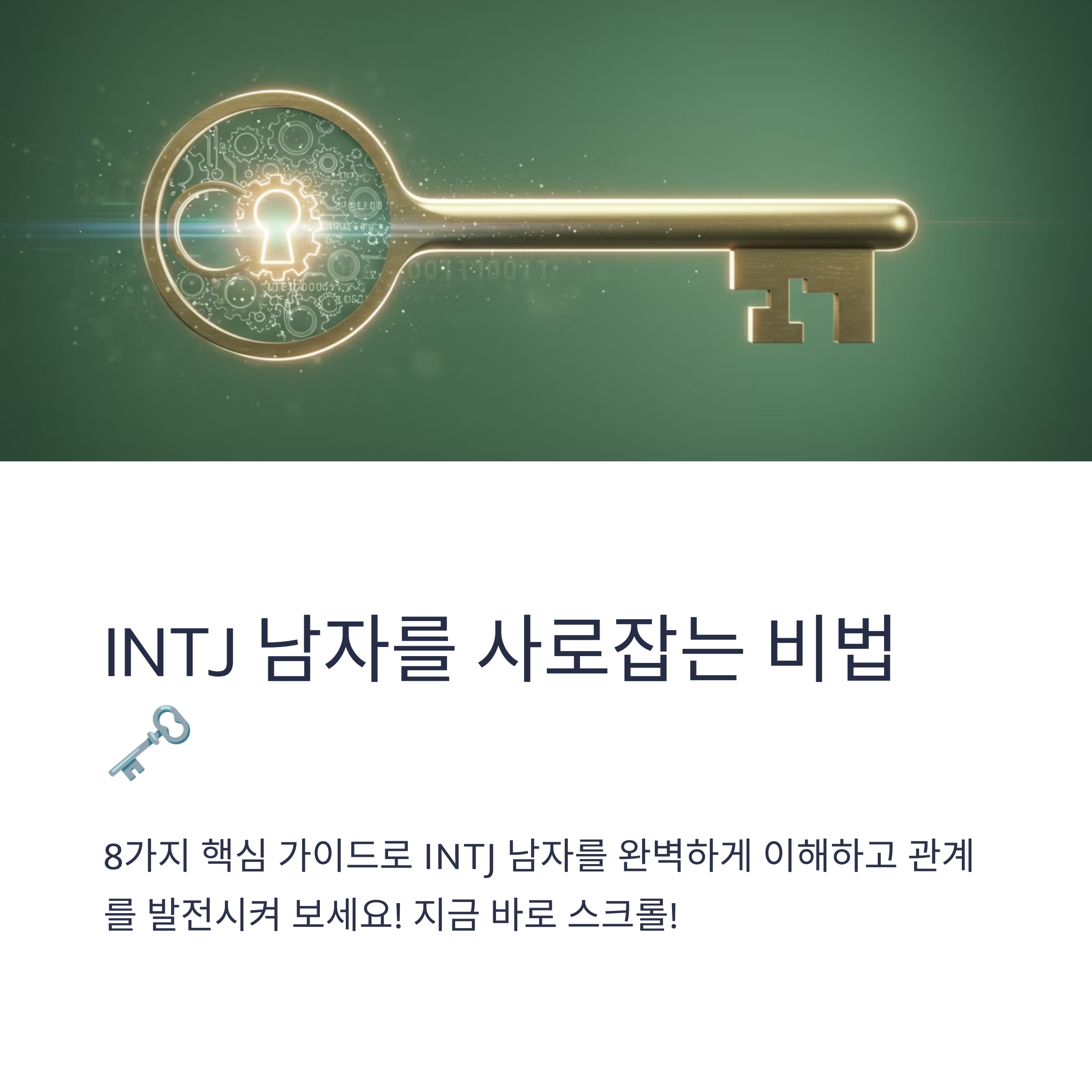 INTJ 남자 특징 연애 스타일 궁합 완벽 분석