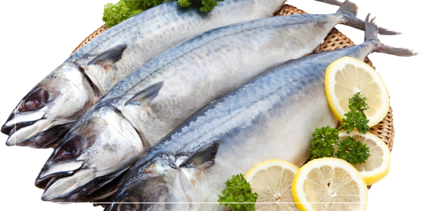 철분 부족 혈액량 부족을 위한 필수 영양소14