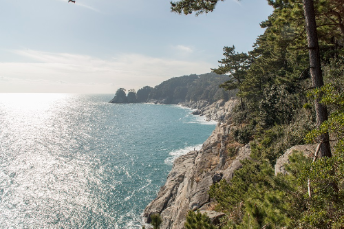 지심도 여행 사진