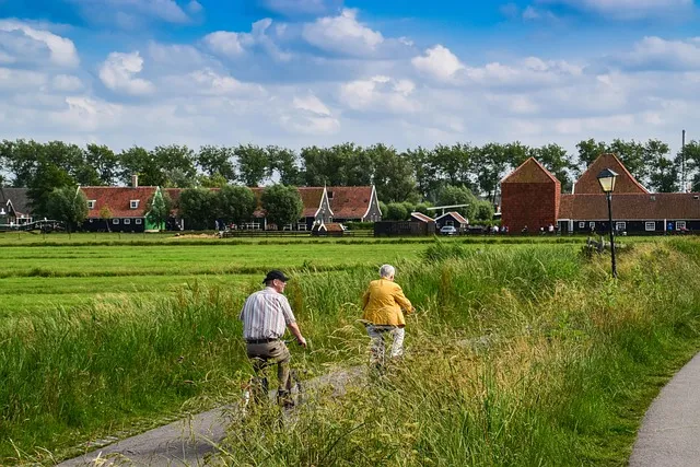 노부모 댁 선물 식물추천 물주기간단 종류 배치관리 팁_8