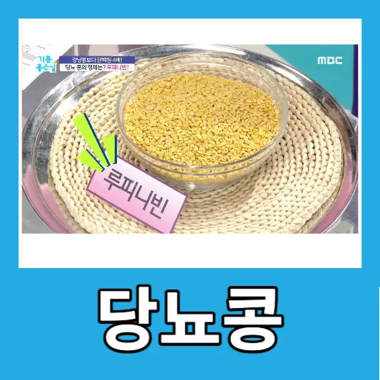 당뇨관리 루피니빈 섭취 방법 루피니빈 효능 당뇨콩 부작용