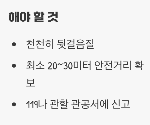 발견했다면, 조용히 멀어지세요