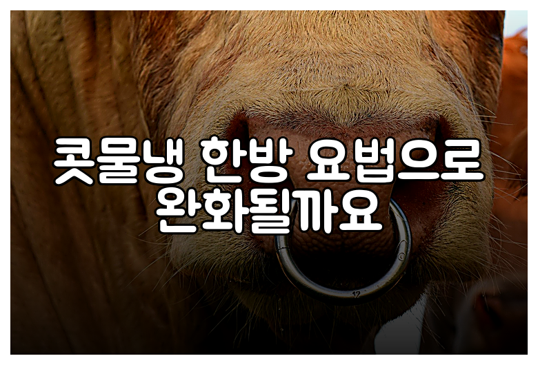 콧물냉 한방 요법으로 완화될까요