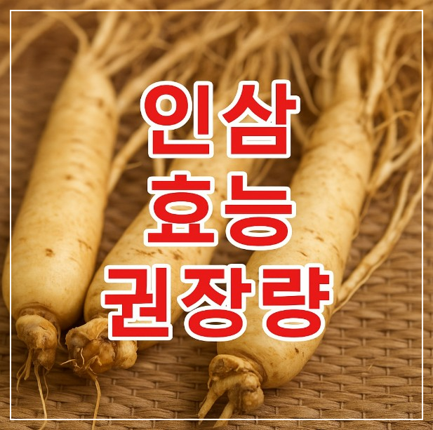 인삼