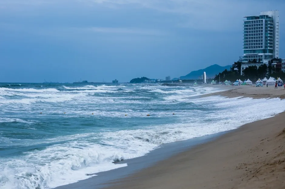 강원도 경포대 해수욕장과 강릉 가볼만한곳 best5 여행 자료집_6