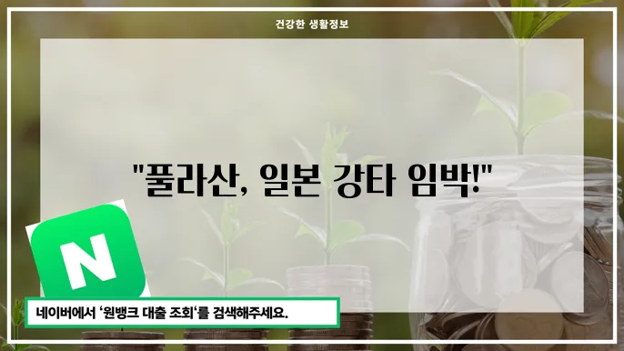 태풍에 대비한 피기 방안