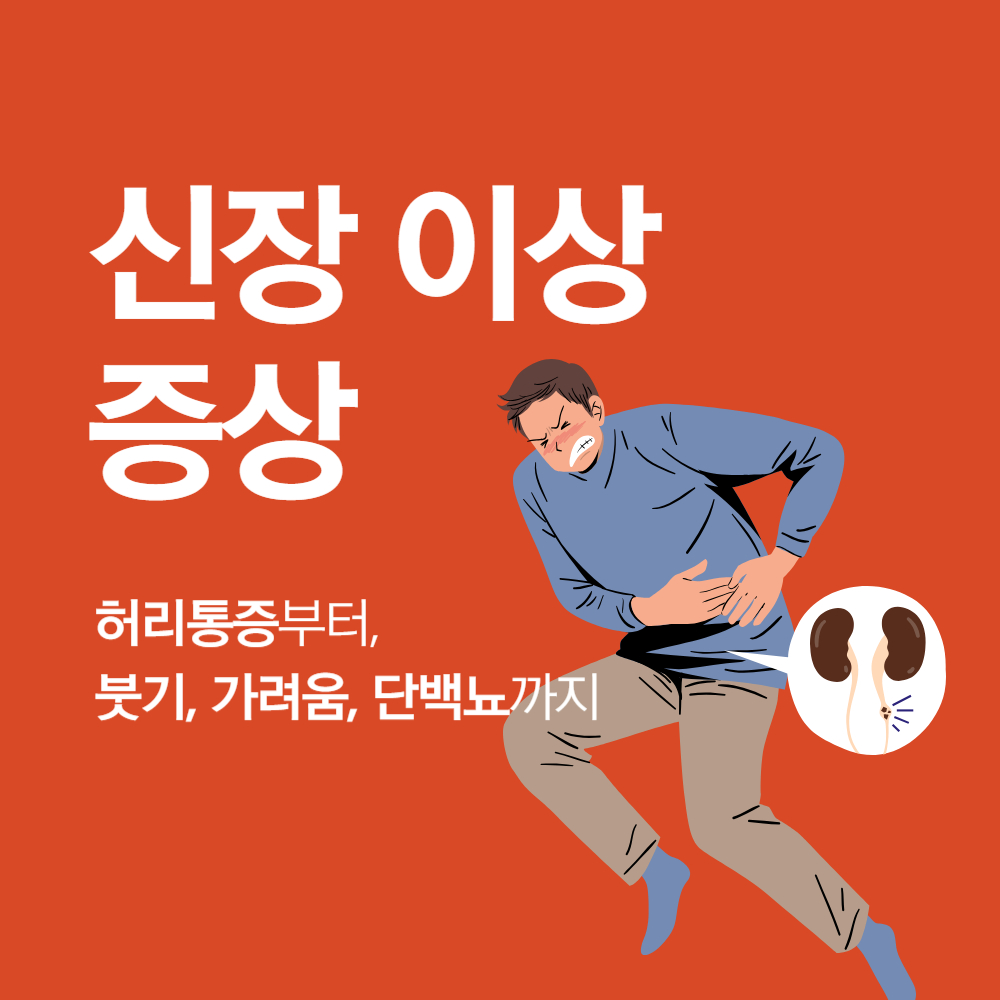 신장 이상 증상 총정리! 허리통증부터 붓기, 가려움, 단백뇨까지