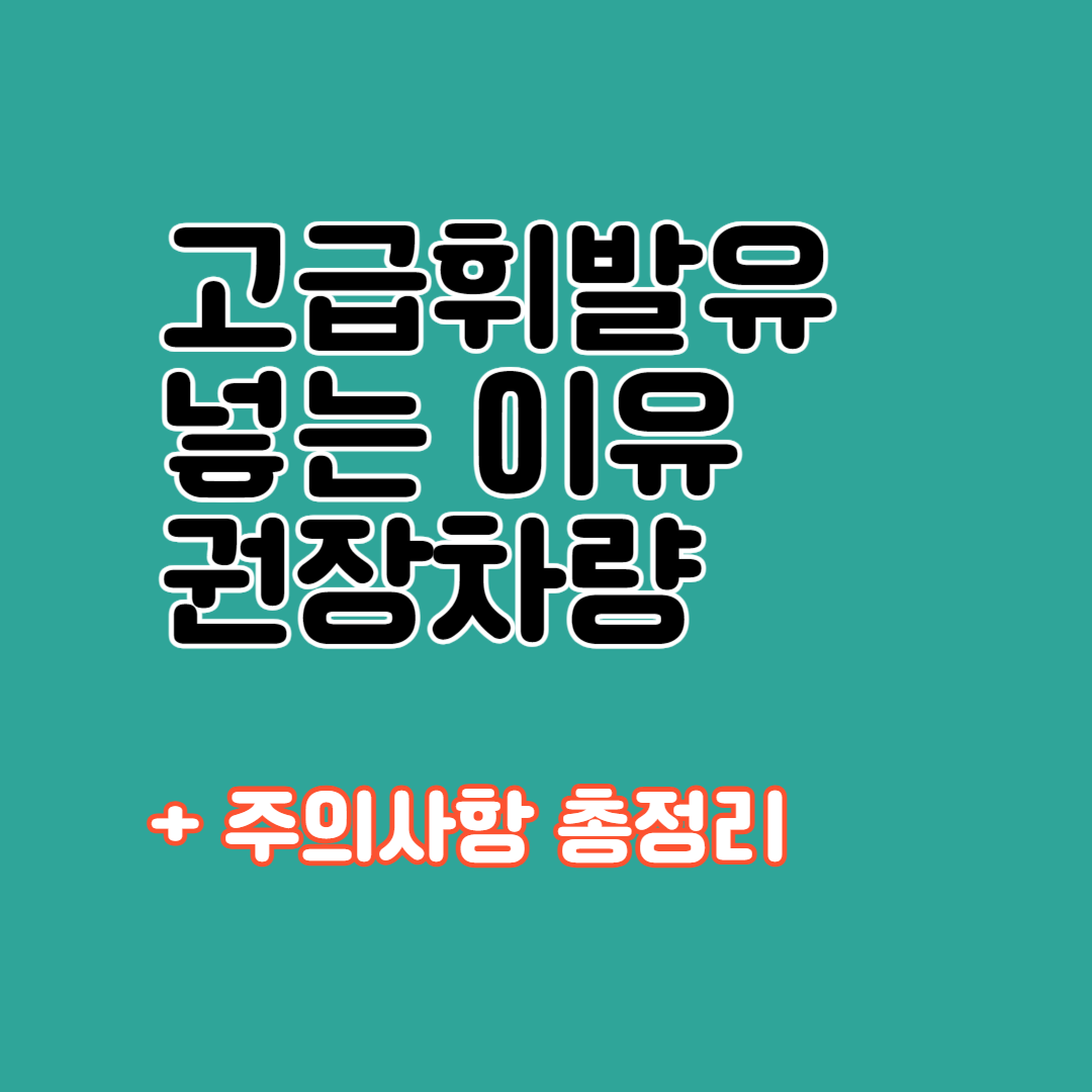 고급 휘발유 넣어야하는 이유