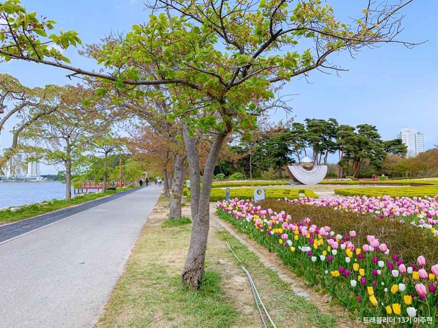 경포플라워가든