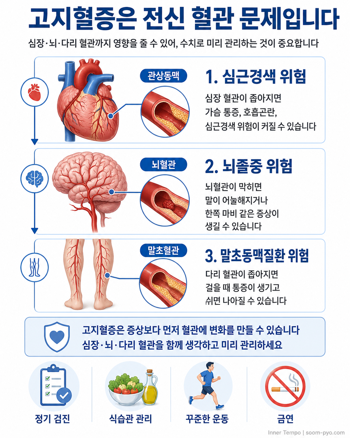 고지혈증과 혈관 건강 관리