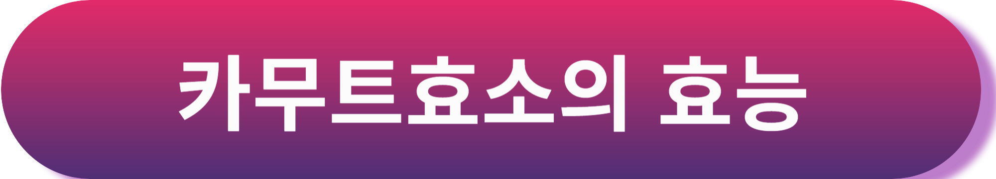 장건강에 좋은 영양제 카무트 효소와 장건강에 좋은 항산화 영양제 6가지