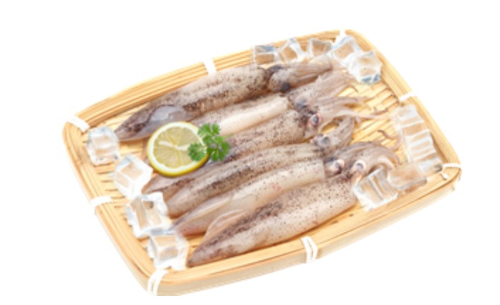 한치여러마리를바구니에담아놓음