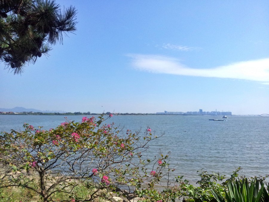 강서구 노적봉 수엄능사에서 바라본 명지동