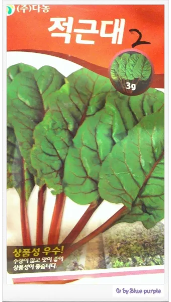 적근대 재배 씨 뿌림 솎음 수확 색 유지_12