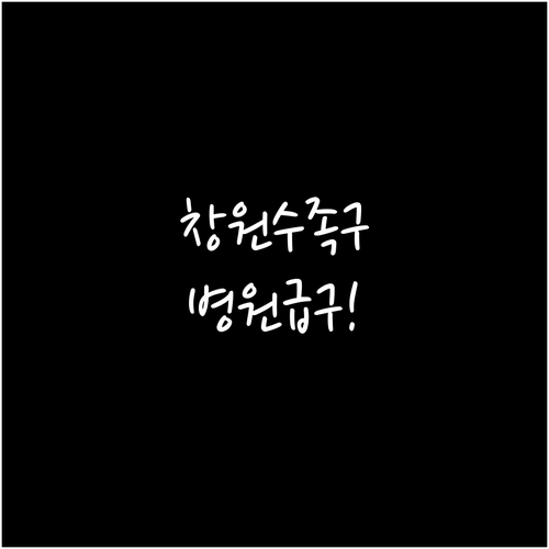 창원 의창구 수족구 증상 병원 찾기 ..