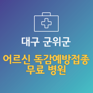 대구 군위군 노인 독감예방접종 무료 병원 (인플루엔자 무료 접종 대상 날짜)