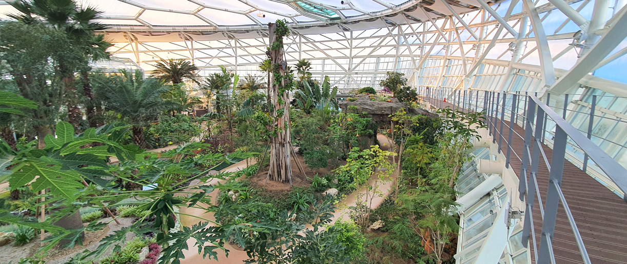 부천식물원 수피아