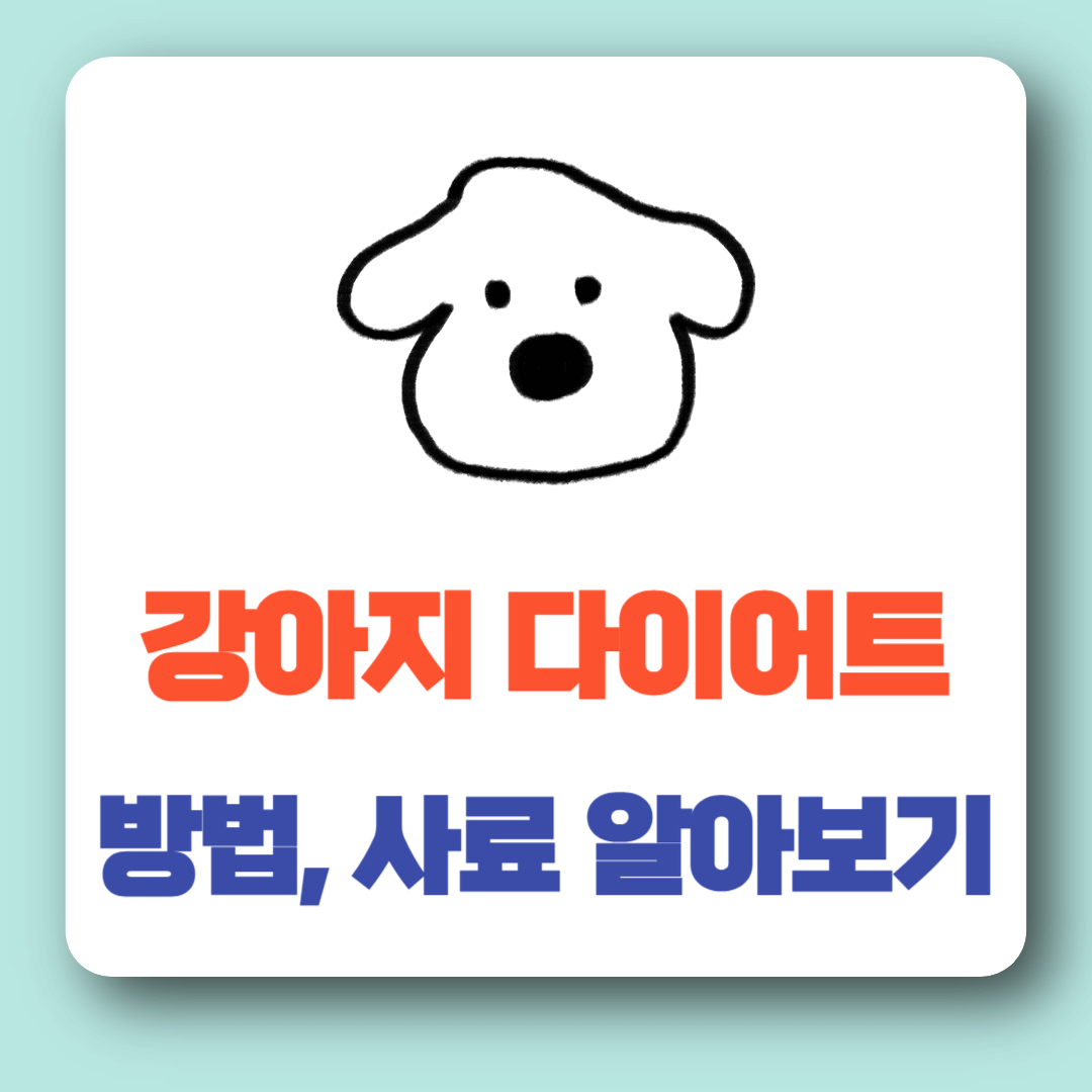 강아지 다이어트 방법, 사료 알아보기