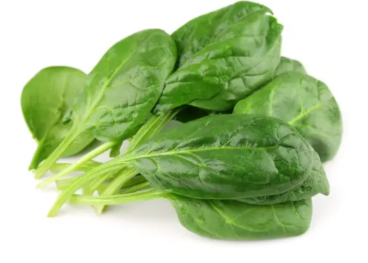 골다공증에 좋은 음식 피해야 할 나쁜 음식