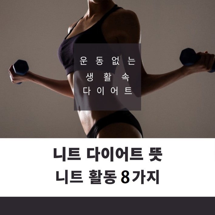 니트 다이어트 뜻과 니트 활동