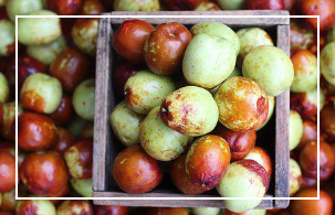 불면증에 좋은 음식