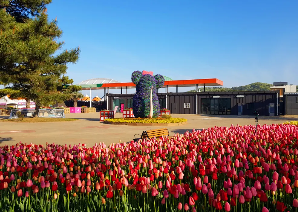 튤립축제 2