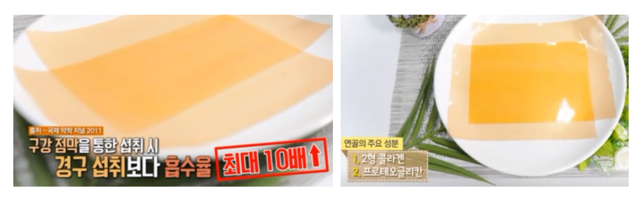 프로테오글리칸 건강하게 먹는 방법