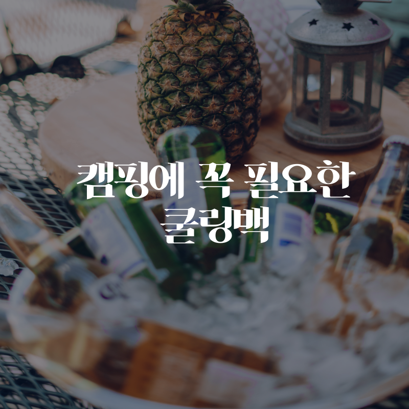 아이스박스30L