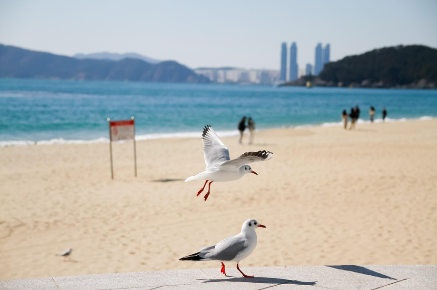 바다 사진