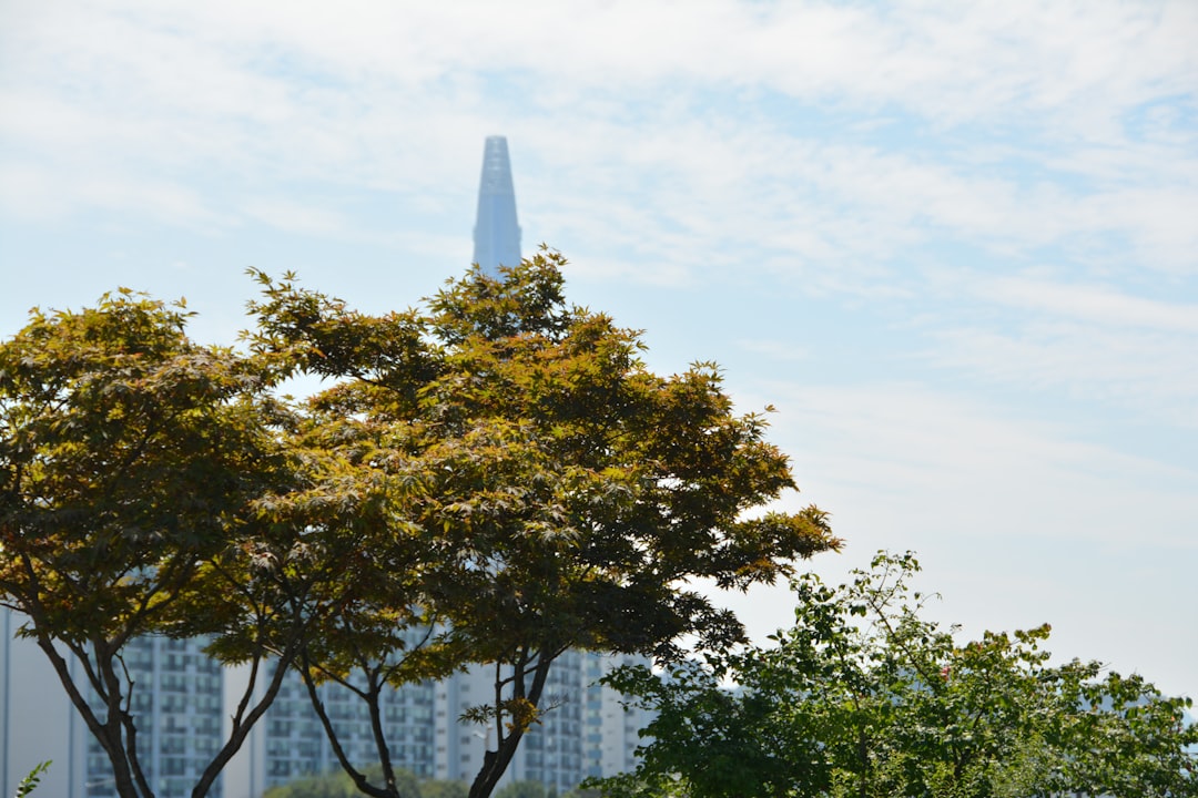 Lotte World