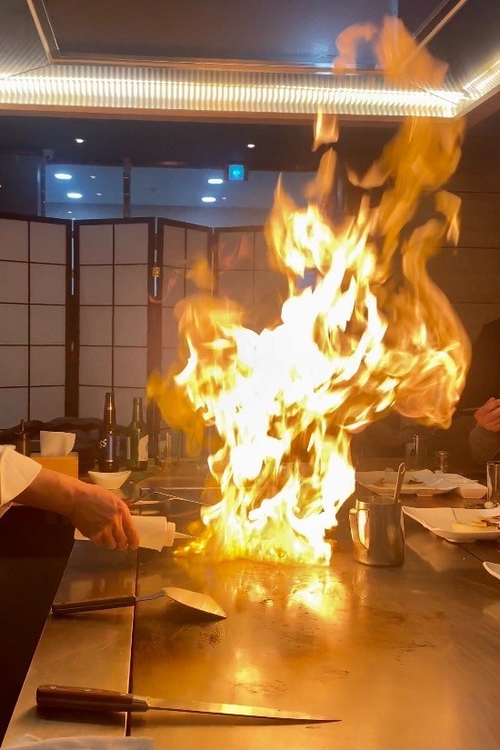 알고계십니까 산림욕장, 족욕체험, 오마카세 철판 코스요리 맛집, 메타세콰이어 숲 힐링 여행 가볼만한 곳 추천 대전 위치 어디 추천 다시보기