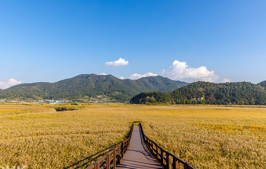 순천 순천만습지