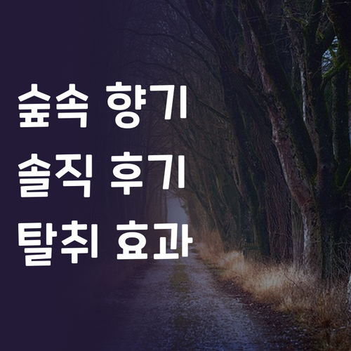 상쾌한 숲속 향기! 살림백서 피톤치드..