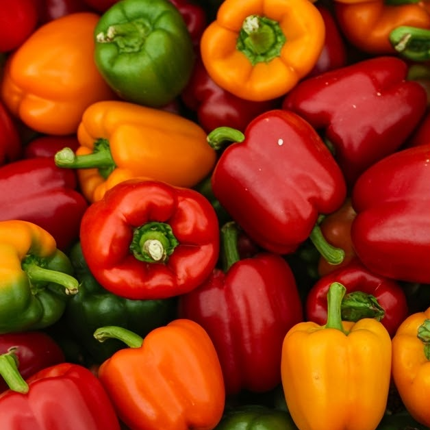 계절의 변화를 세분화한 24 절기 중 '처서' 이해하기