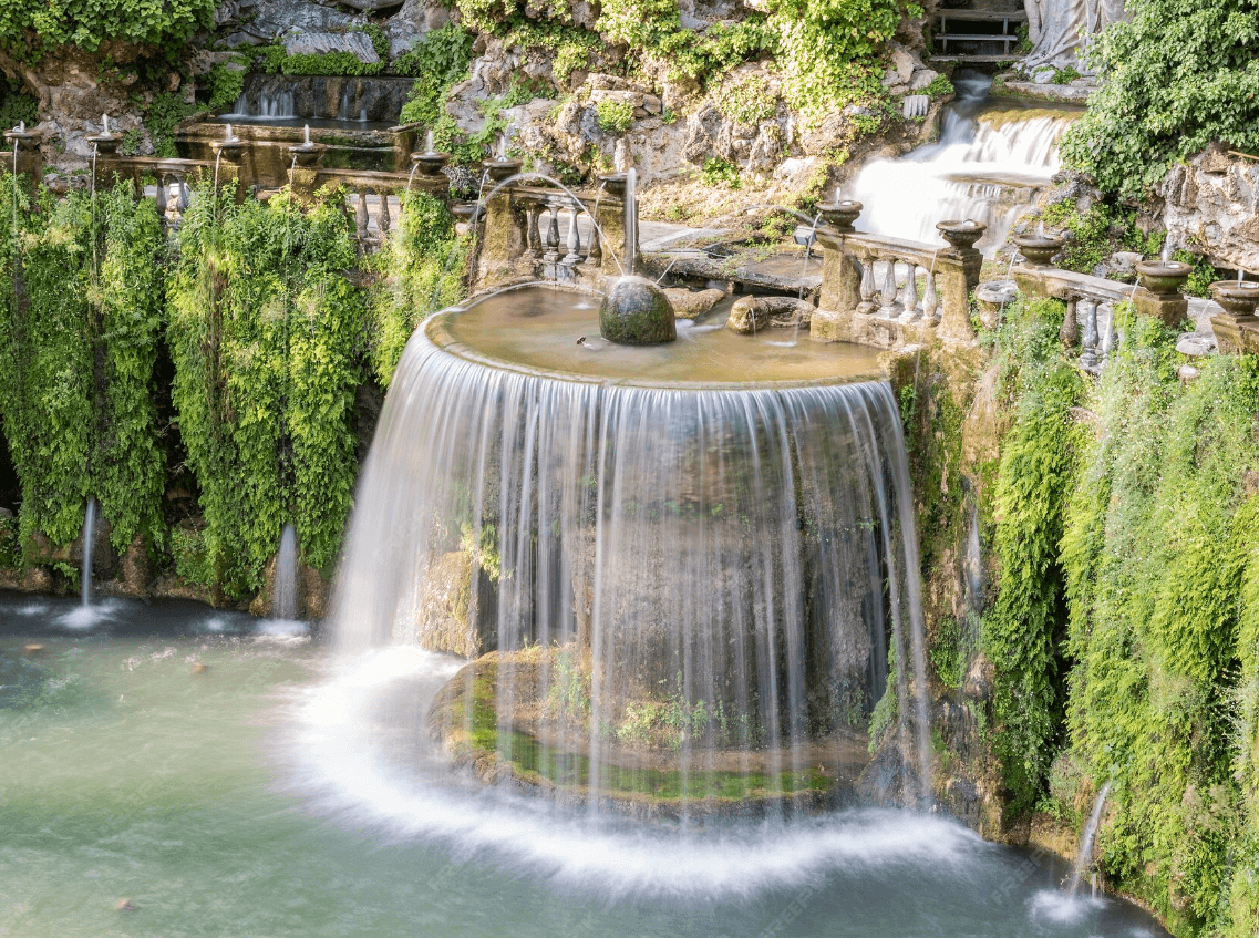 정원 사회학으로 읽는 정원 디자인 속에 숨은 문화 코드 탐구
