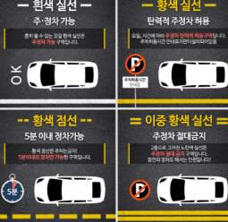 불법주차 신고방법 안내