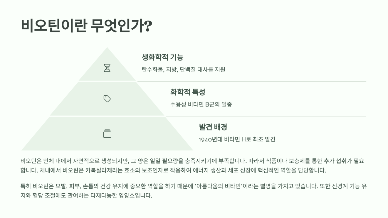 비오틴 하루 권장량 2