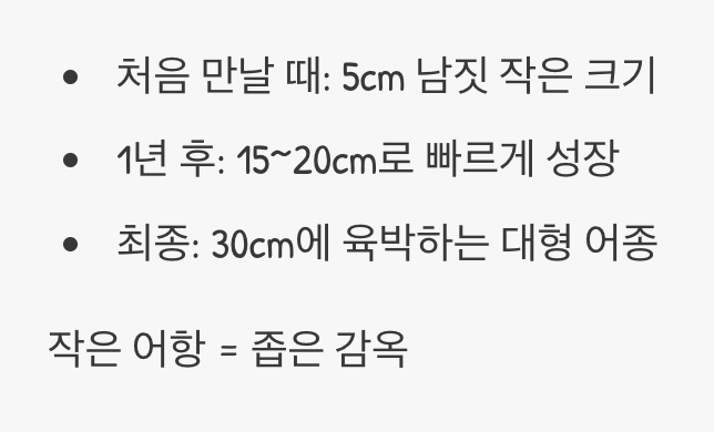 5cm 꼬마, 30cm 거인이 됩니다