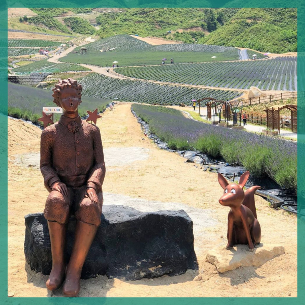 정브-허브원-카페-전경5