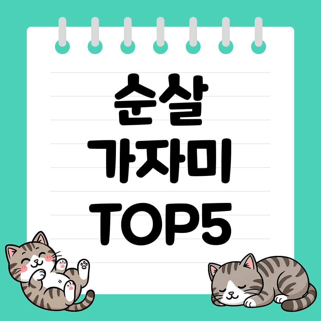 손질 필요 없는 온가족 반찬용 순살 가자미 추천 순위 TOP5