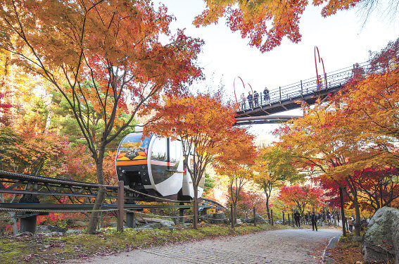 화담숲에 알록달록 물든 단풍과 모노레일