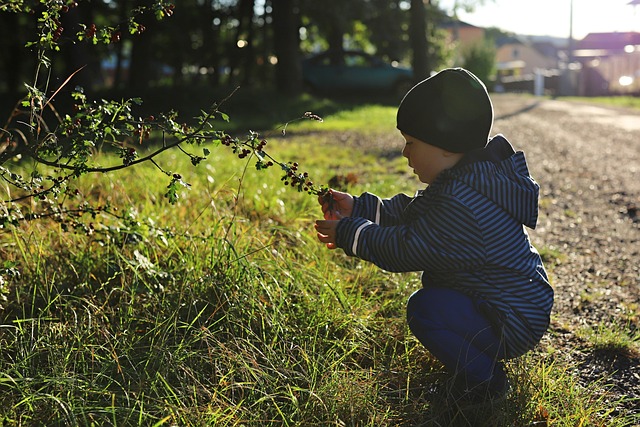 부모 급여 신청 방법