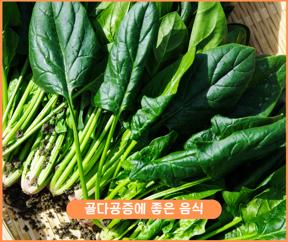 골다공증에 좋은 음식