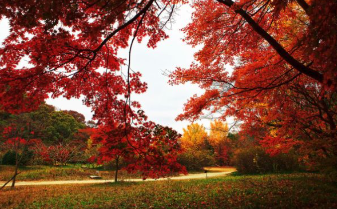 2025 가야산 단풍 절정시기 & 인생샷 명소 + 등산코스 추천