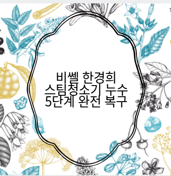 비쎌 한경희 스팀청소기 누수 5단계 완전 복구